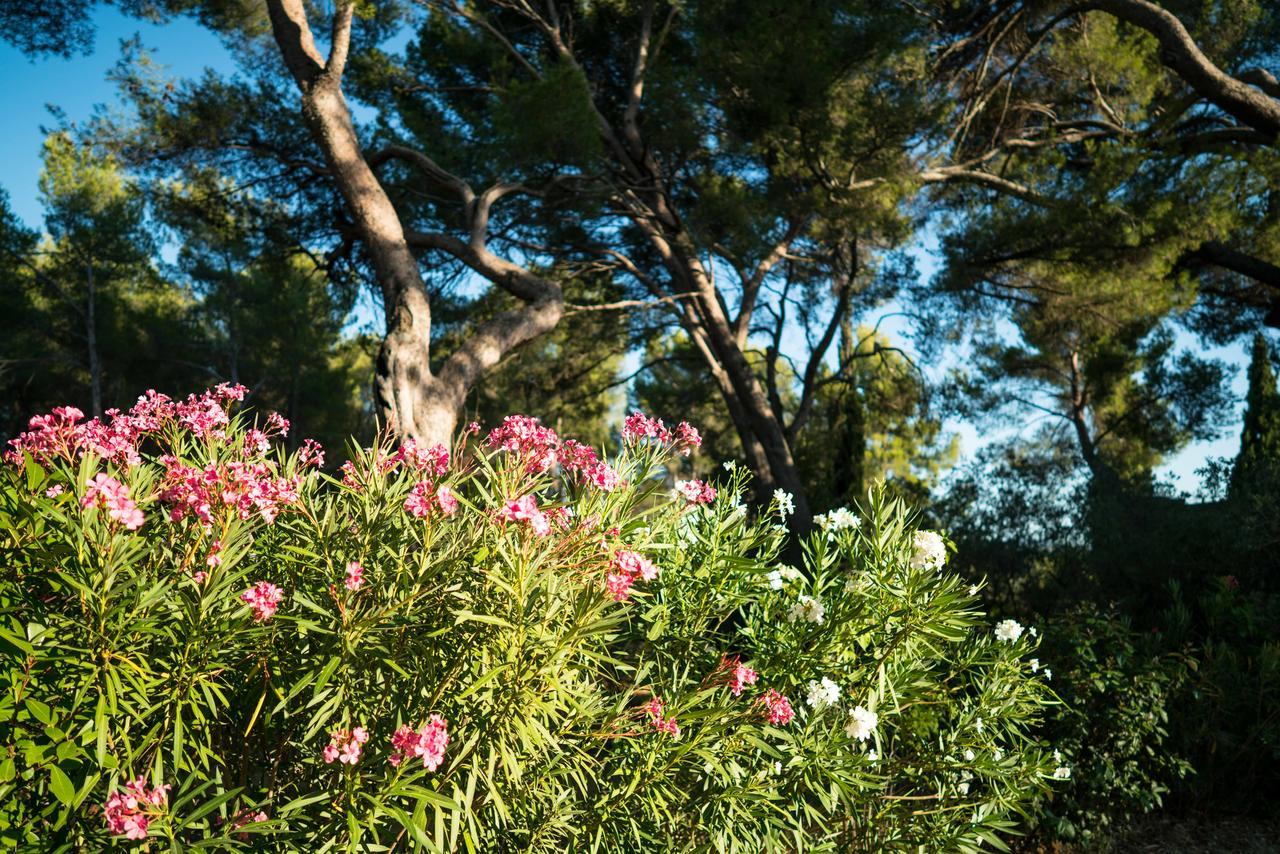 Domaine De Saint Clair Bed and Breakfast Aix-en-Provence Buitenkant foto