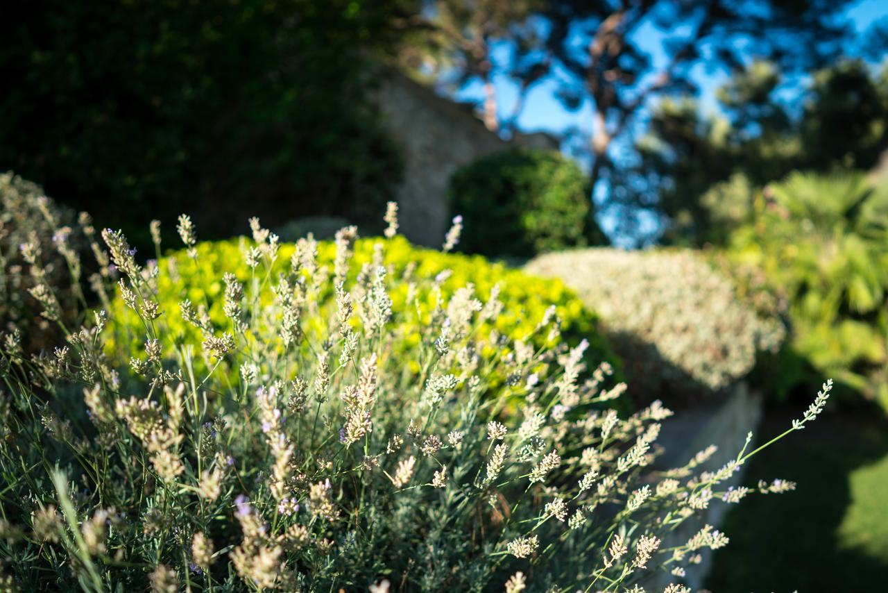 Domaine De Saint Clair Bed and Breakfast Aix-en-Provence Buitenkant foto