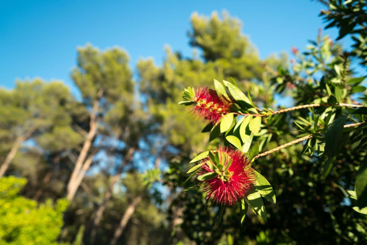 Domaine De Saint Clair Bed and Breakfast Aix-en-Provence Buitenkant foto