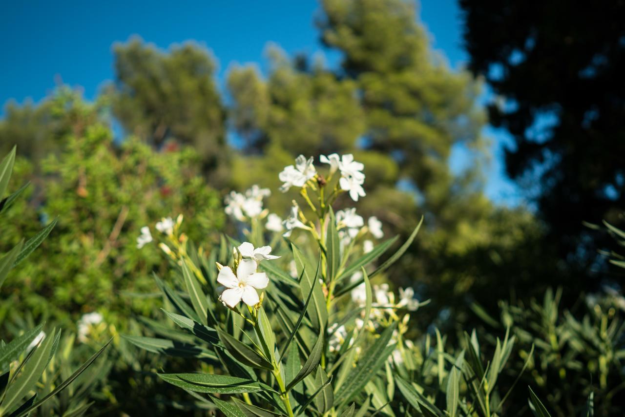 Domaine De Saint Clair Bed and Breakfast Aix-en-Provence Buitenkant foto