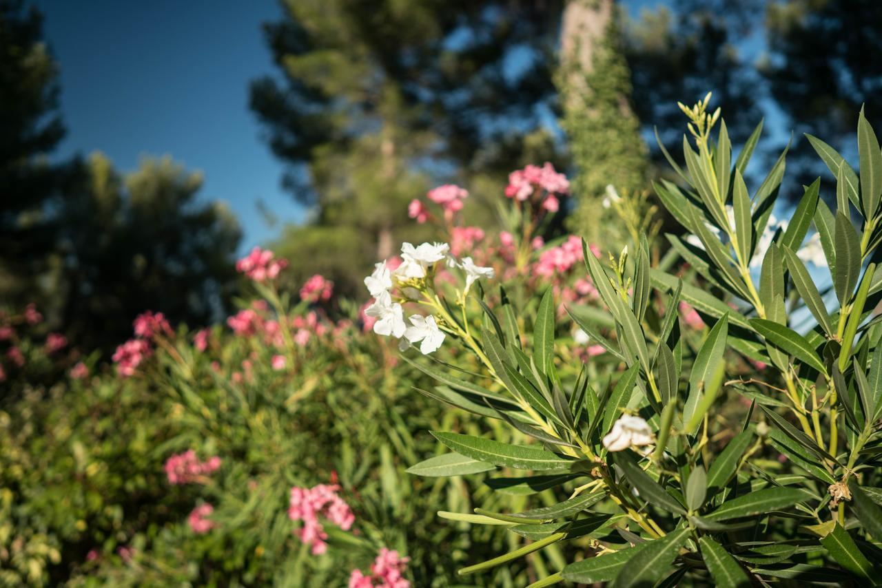 Domaine De Saint Clair Bed and Breakfast Aix-en-Provence Buitenkant foto